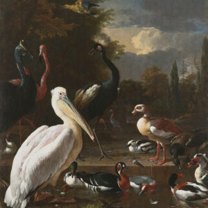 Fotobehang 8014 Painted Memories Floating Feather