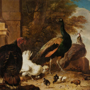 Fotobehang 8043 Painted Mem. 2 Farm Animals