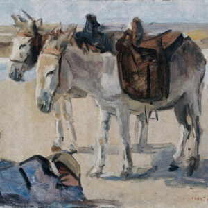 Fotobehang 8050 Painted Mem. 2 Two Donkeys on the Beach