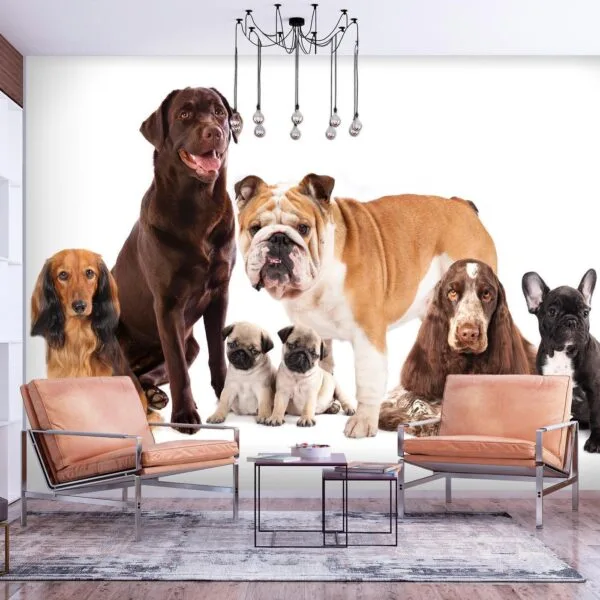Fotobehang - Animal portrait - dogs with a brown labrador in the centre on a white background