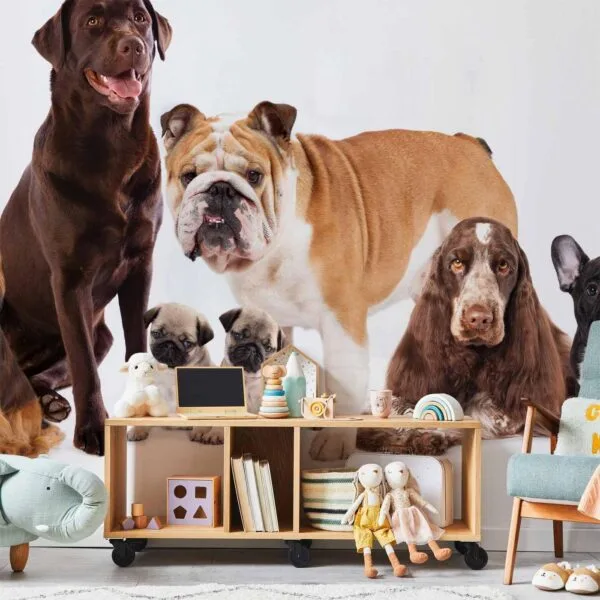 Fotobehang - Animal portrait - dogs with a brown labrador in the centre on a white background