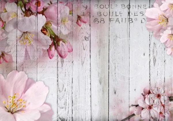 Fotobehang - Apple Blossoms