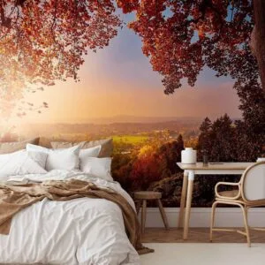 Fotobehang - Autumn delight - sunny landscape with countryside surrounded by trees and fields
