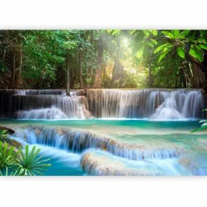 Fotobehang - Awakening of nature