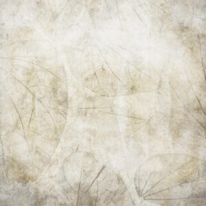 Fotobehang - Beige murmurs
