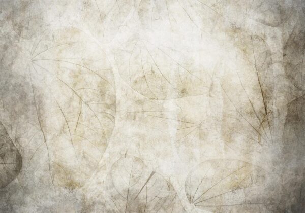 Fotobehang - Beige murmurs