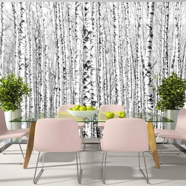 Fotobehang - Birch forest