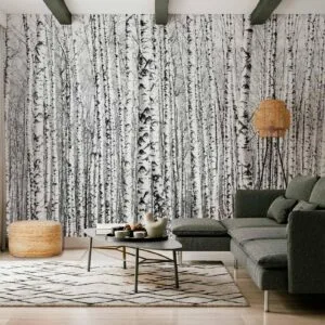 Fotobehang - Birch forest