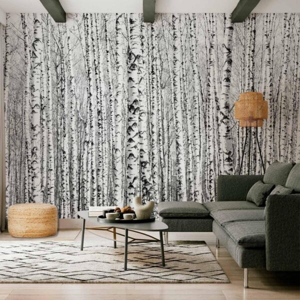 Fotobehang - Birch forest