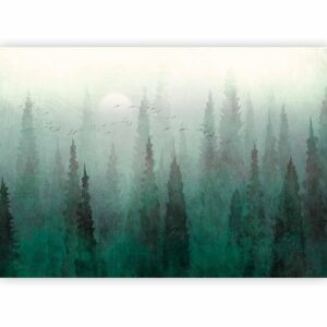 Fotobehang - Bird's eye perspective - landscape of a green forest with trees in the mist