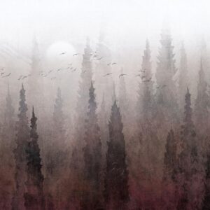 Fotobehang - Bird's flight over treetops - landscape of a dark forest in fog