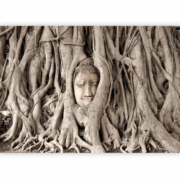 Fotobehang - Buddha's Tree