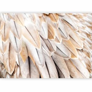 Fotobehang - Close-up of bird's wings - uniform close-up on beige bird feathers