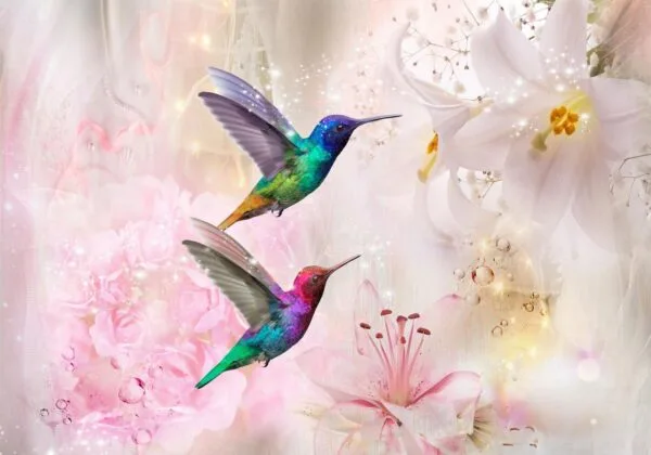 Fotobehang - Colourful Hummingbirds (Pink)