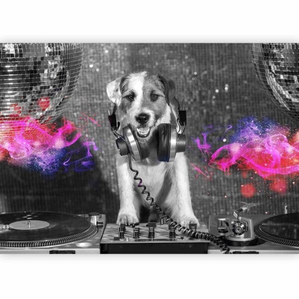 Fotobehang - DJ Dog