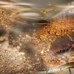 Fotobehang - Dandelions' World (Gold)