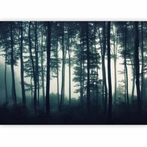 Fotobehang - Dark Forest