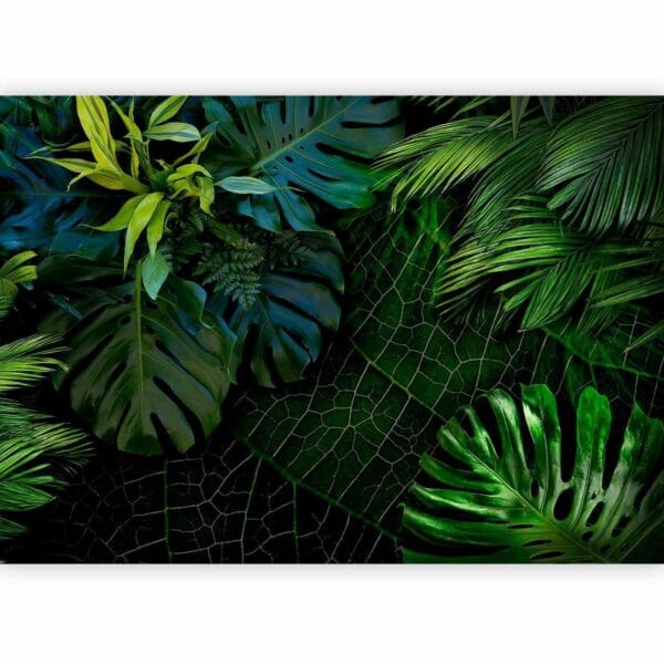 Fotobehang - Dark Jungle