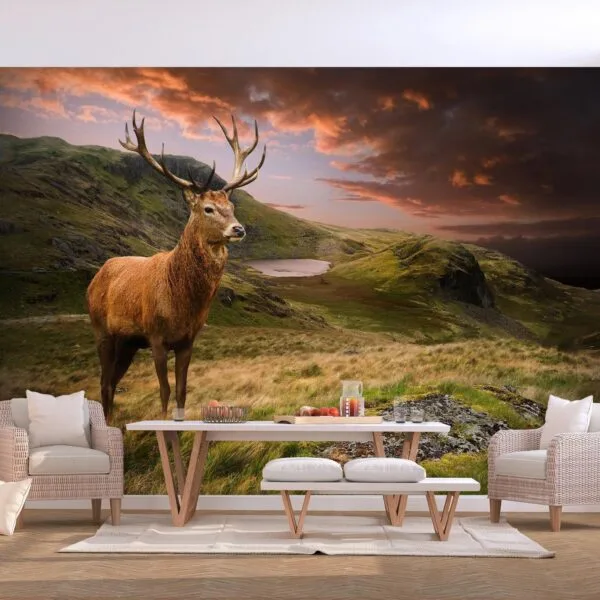 Fotobehang - Deer on Hill