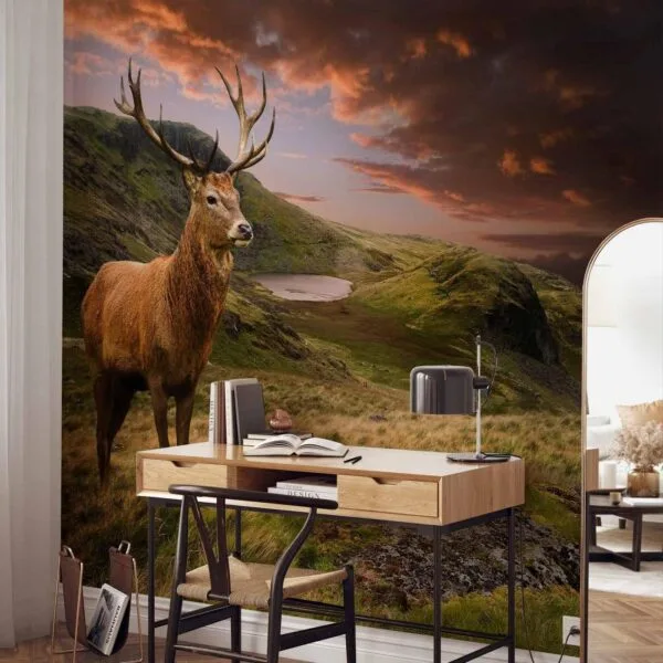 Fotobehang - Deer on Hill