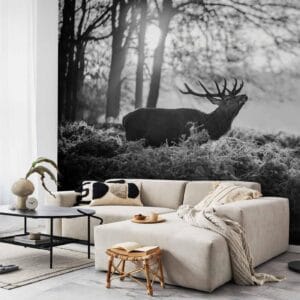 Fotobehang - Deers in the Morning
