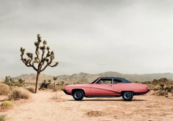 Fotobehang - Desert California