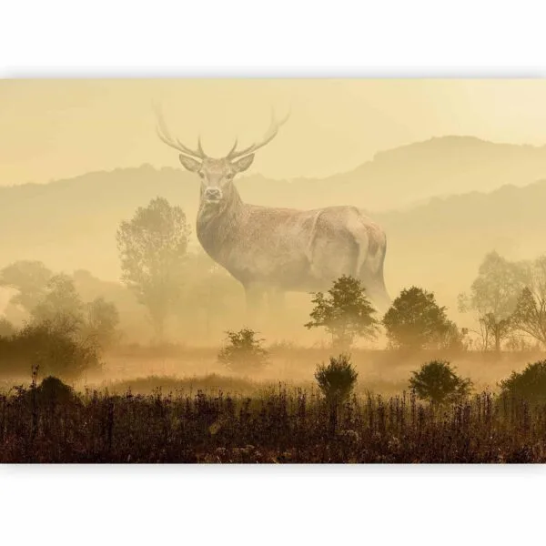 Fotobehang - Dreamlike Image