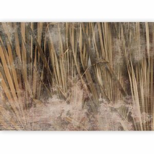 Fotobehang - Dry leaves - landscape of tall grasses in boho style with paint patterns