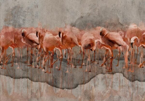 Fotobehang - Exotic birds - pink flamingos with shadow on grey concrete background