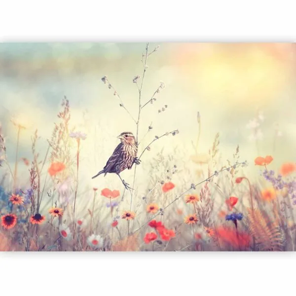 Fotobehang - Field Bird