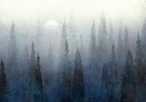 Fotobehang - Flight Over the Forest - Second Variant