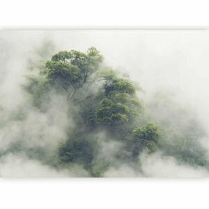Fotobehang - Foggy Amazon