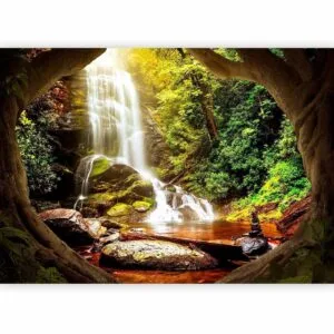 Fotobehang - Forest Refuse