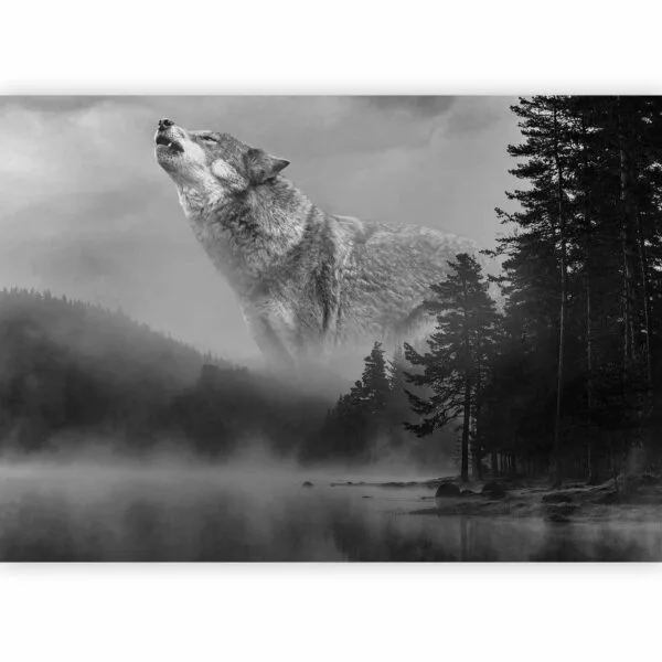 Fotobehang - Forest Secrets