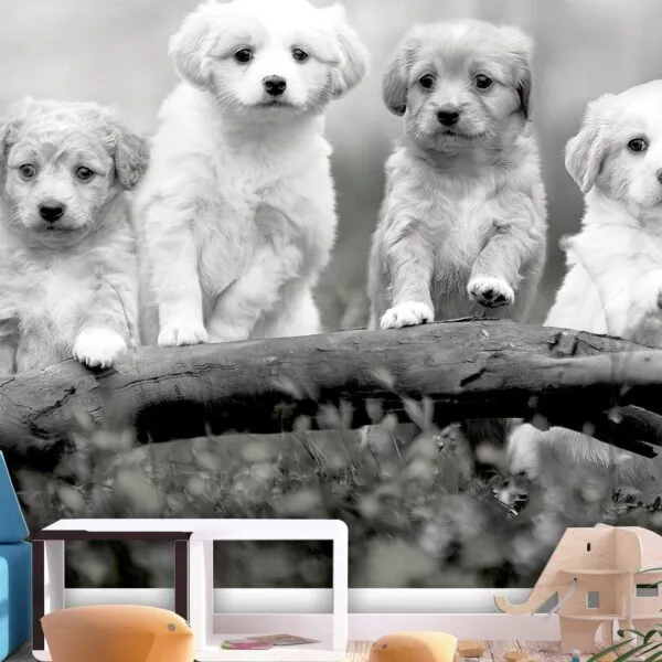 Fotobehang - Four Puppies