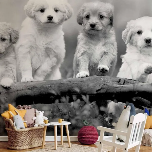 Fotobehang - Four Puppies