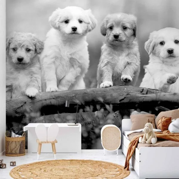 Fotobehang - Four Puppies