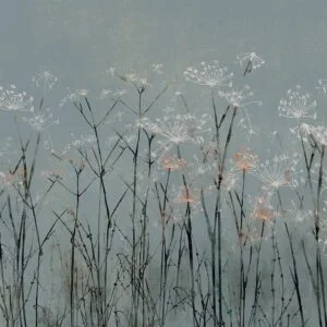 Fotobehang - Garlic Flowers