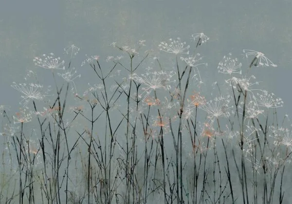 Fotobehang - Garlic Flowers