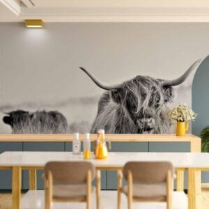 Fotobehang - Highland Cattle