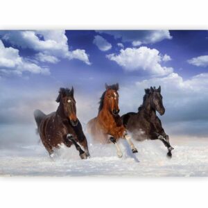 Fotobehang - Horses in the Snow