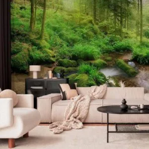 Fotobehang - Humid Forest