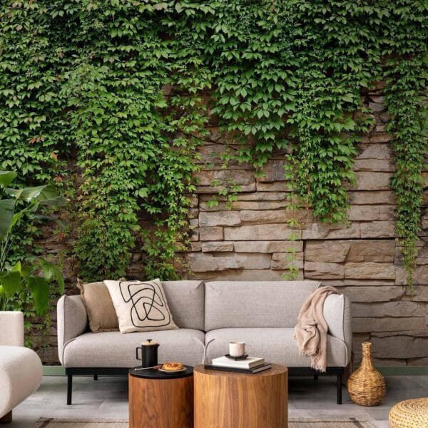 Fotobehang - Ivy wall