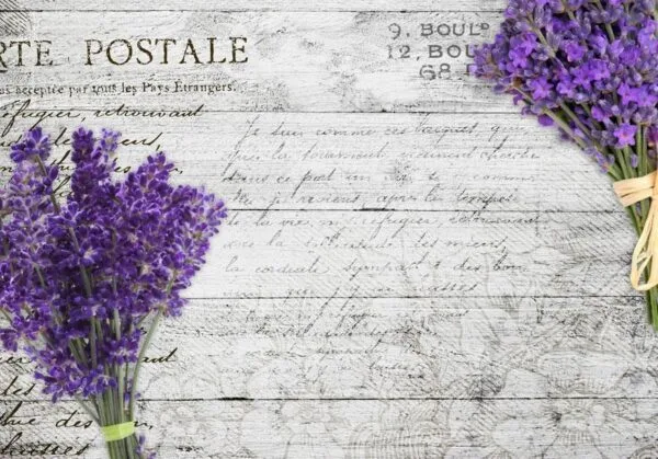 Fotobehang - Lavender postcard