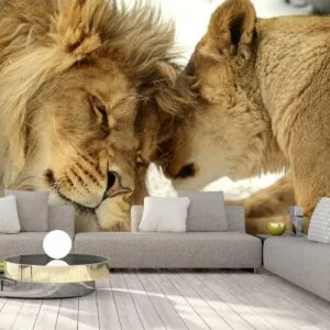 Fotobehang - Lion Tenderness