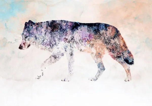 Fotobehang - Lonely Wolf