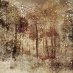 Fotobehang - Lost in the woods