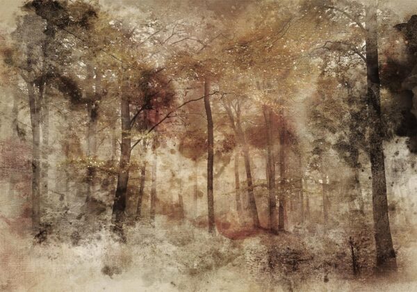 Fotobehang - Lost in the woods