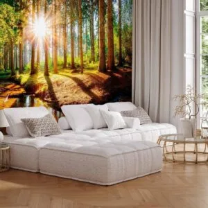 Fotobehang - Marvelous Forest