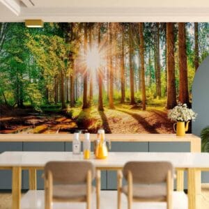 Fotobehang - Marvelous Forest